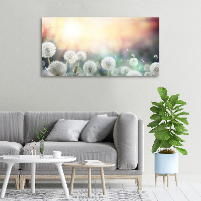 Foto quadro su tela Campo di tarassaco