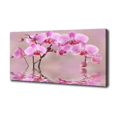 Quadro su tela Orchidea rosa