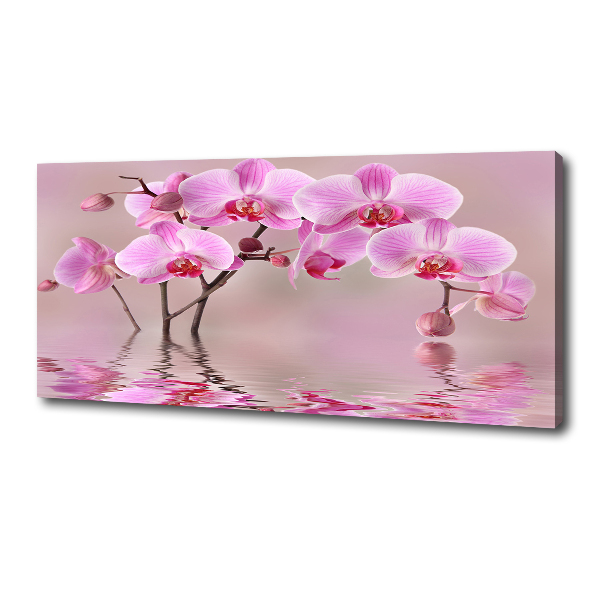 Quadro su tela Orchidea rosa