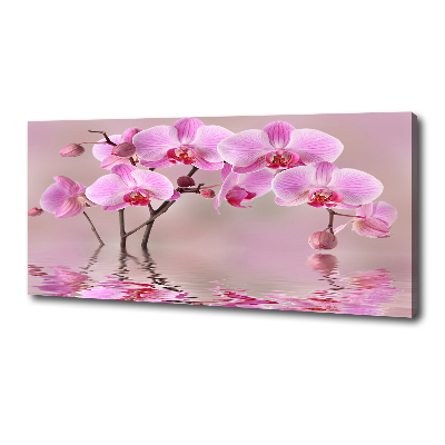 Quadro su tela Orchidea rosa