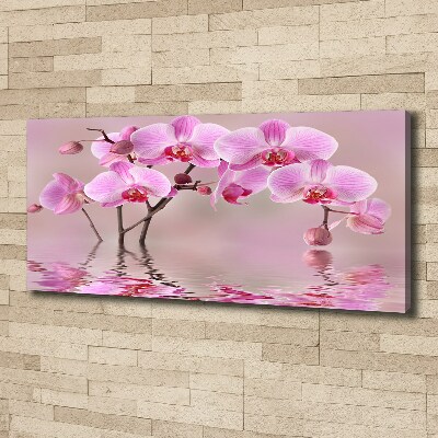 Quadro su tela Orchidea rosa