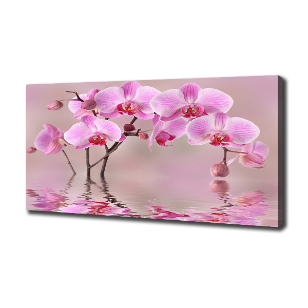 Quadro su tela Orchidea rosa