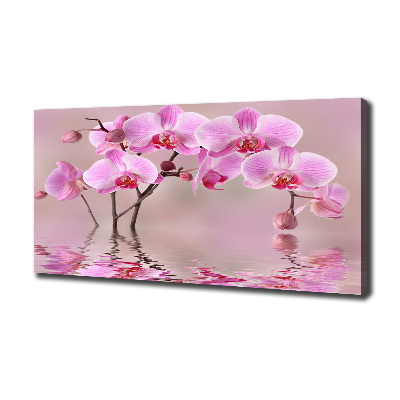 Quadro su tela Orchidea rosa