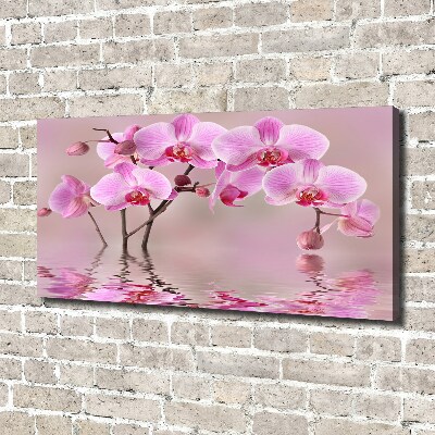 Quadro su tela Orchidea rosa