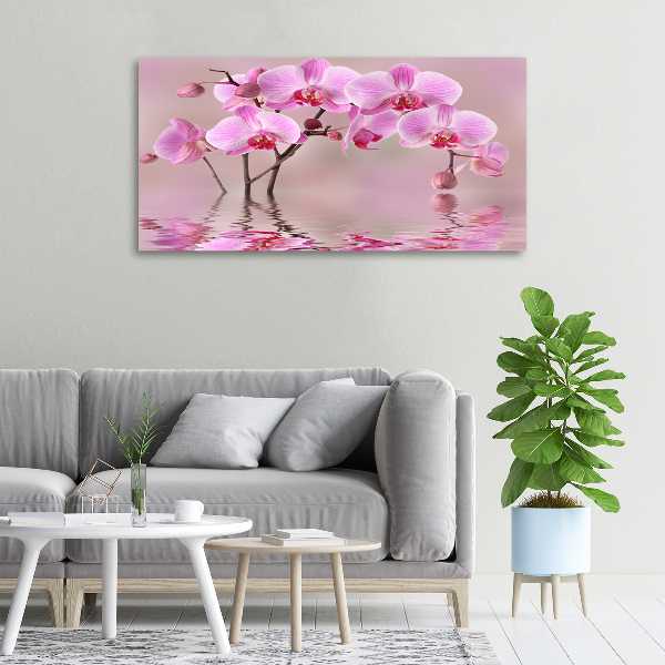 Quadro su tela Orchidea rosa