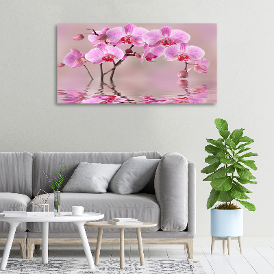 Quadro su tela Orchidea rosa