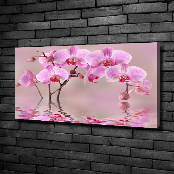 Quadro su tela Orchidea rosa
