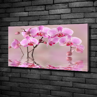 Quadro su tela Orchidea rosa