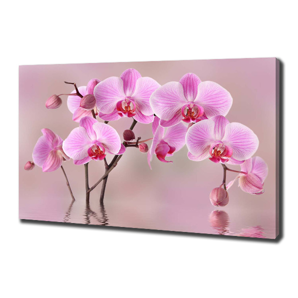 Quadro su tela Orchidea rosa