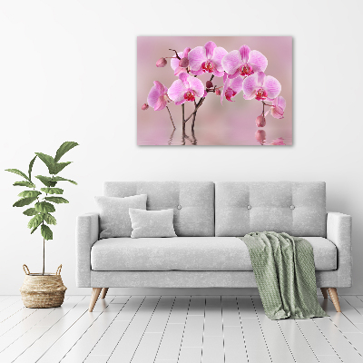 Quadro su tela Orchidea rosa