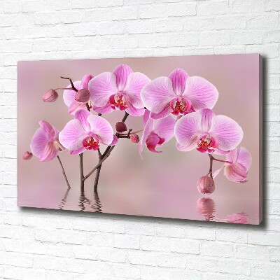 Quadro su tela Orchidea rosa