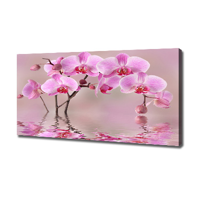 Quadro su tela Orchidea rosa