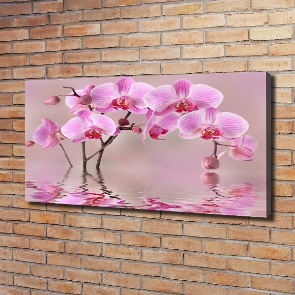 Quadro su tela Orchidea rosa