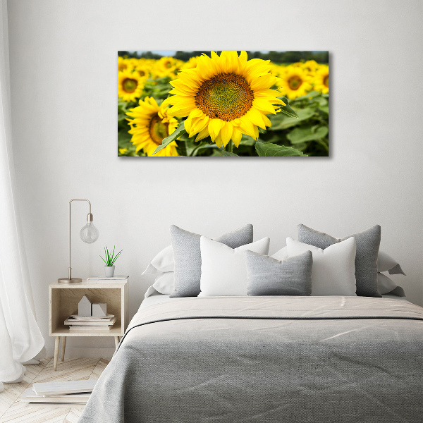 Foto quadro su tela Un campo di girasoli