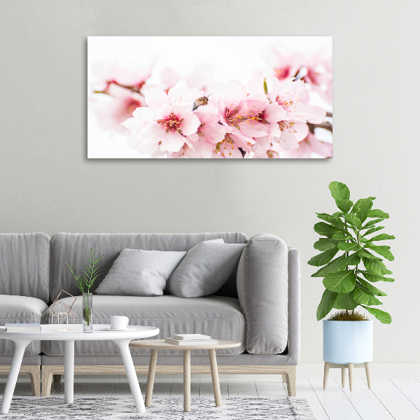 Quadro stampa su tela Fiori di ciliegio