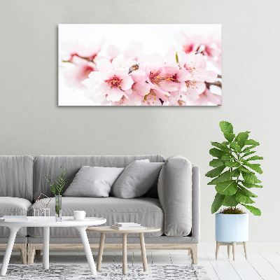 Quadro stampa su tela Fiori di ciliegio