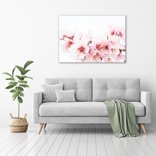 Quadro stampa su tela Fiori di ciliegio