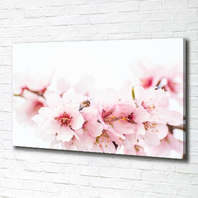 Quadro stampa su tela Fiori di ciliegio