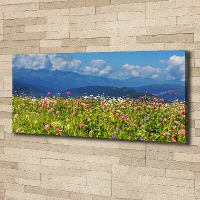 Quadro stampa su tela Prato in montagna