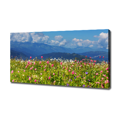 Quadro stampa su tela Prato in montagna