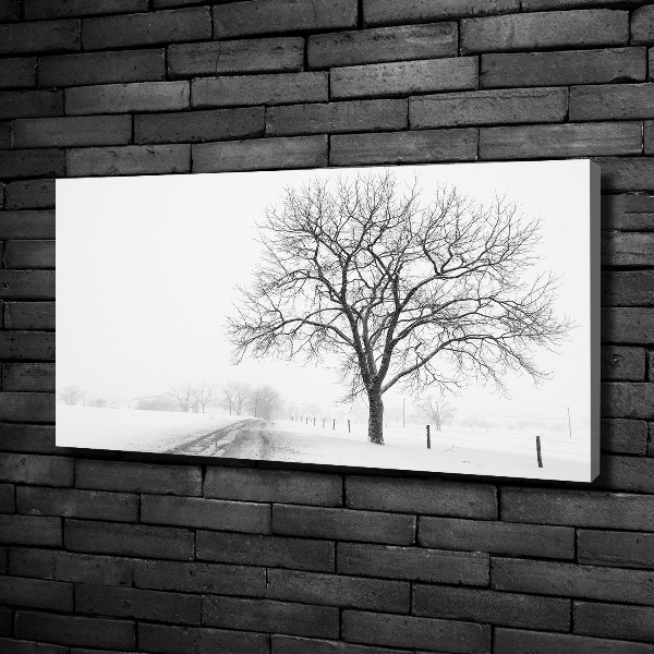 Quadro su tela Albero in inverno