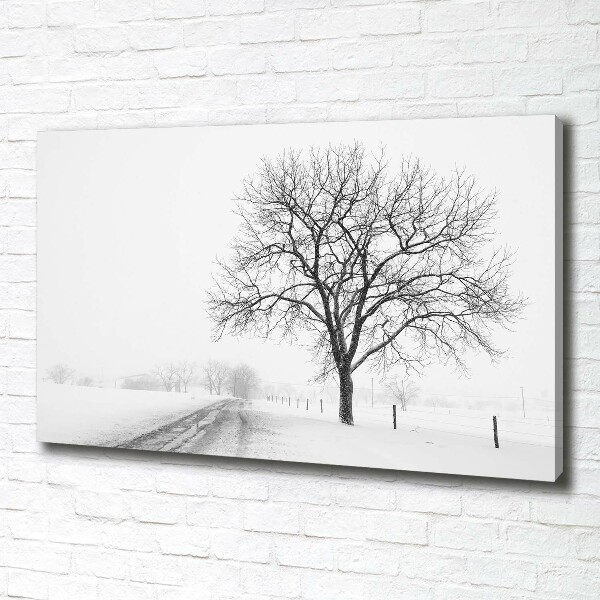 Quadro su tela Albero in inverno
