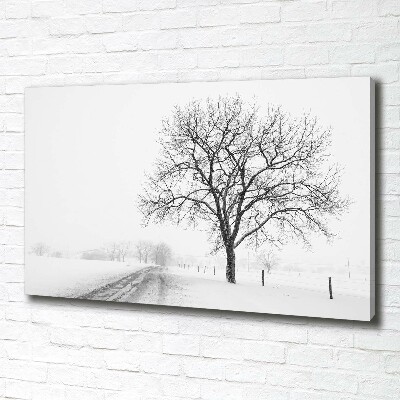 Quadro su tela Albero in inverno
