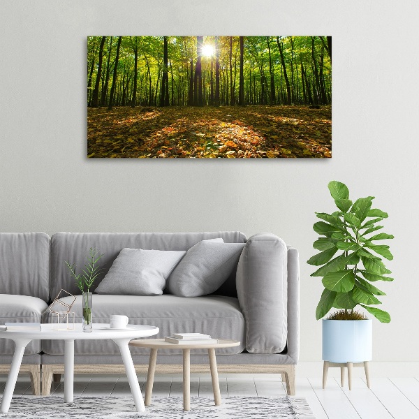 Quadro su tela Foresta