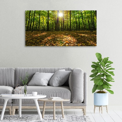 Quadro su tela Foresta