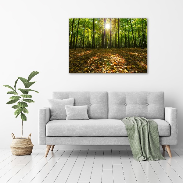 Quadro su tela Foresta