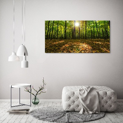 Quadro su tela Foresta