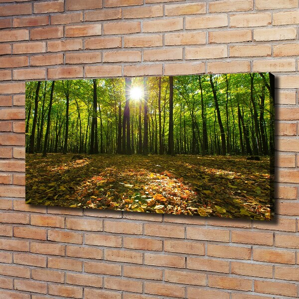 Quadro su tela Foresta