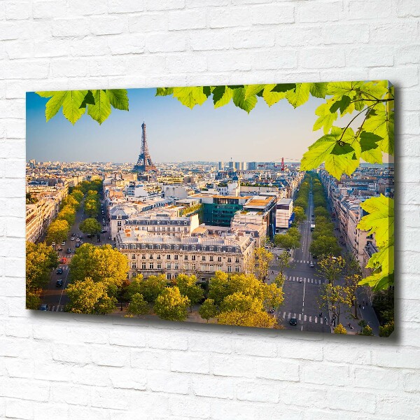 Foto quadro su tela Parigi