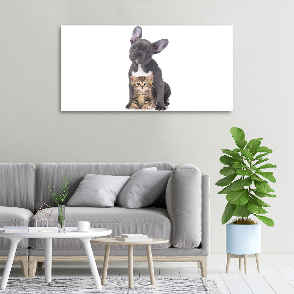 Foto quadro su tela Cane e gatto