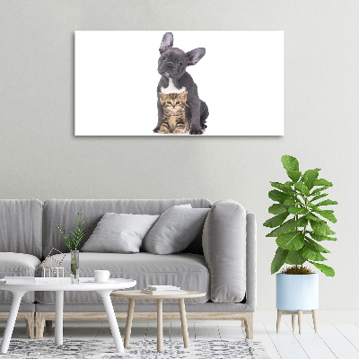 Foto quadro su tela Cane e gatto