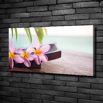 Quadro stampa su tela Plumeria