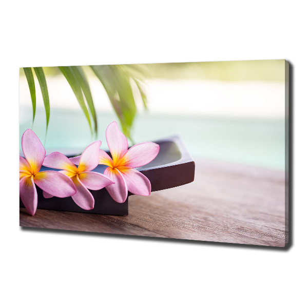 Quadro stampa su tela Plumeria
