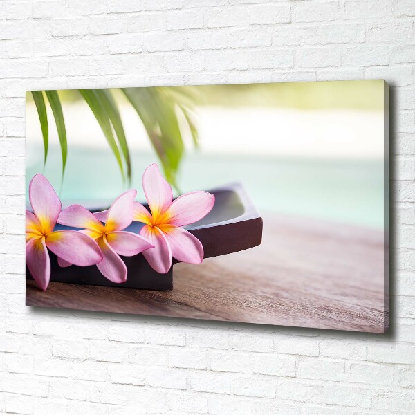 Quadro stampa su tela Plumeria