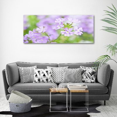 Quadro su tela Verbena