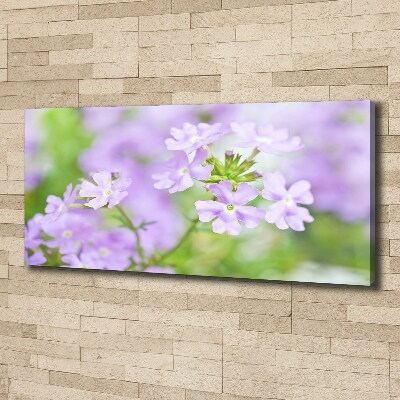 Quadro su tela Verbena