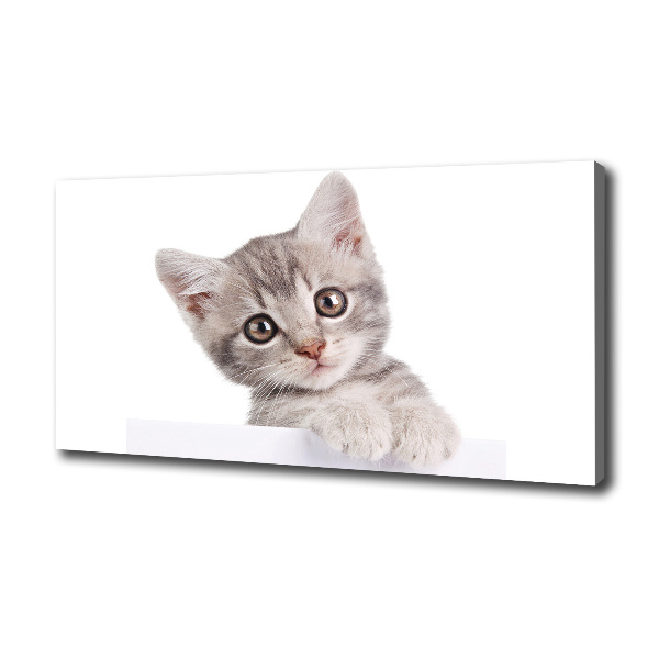 Quadro stampa su tela Gatto grigio