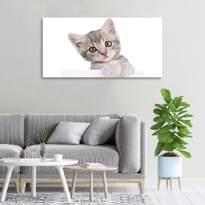 Quadro stampa su tela Gatto grigio