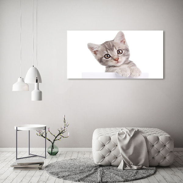 Quadro stampa su tela Gatto grigio
