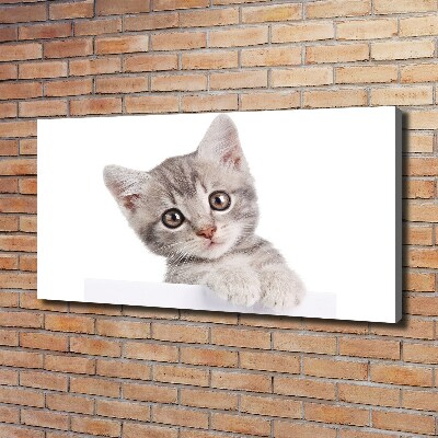 Quadro stampa su tela Gatto grigio