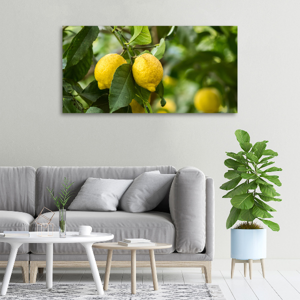 Quadro su tela Limoni sull'albero