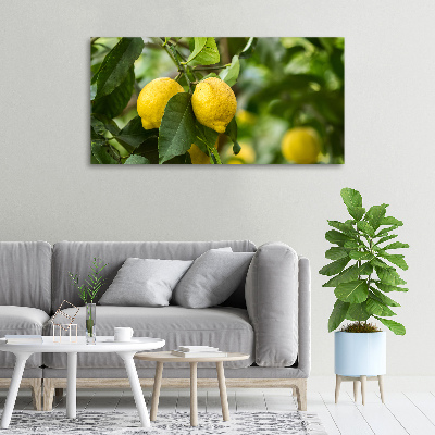 Quadro su tela Limoni sull'albero