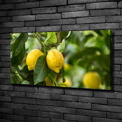 Quadro su tela Limoni sull'albero