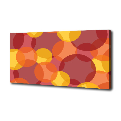 Foto quadro su tela Cerchi colorati