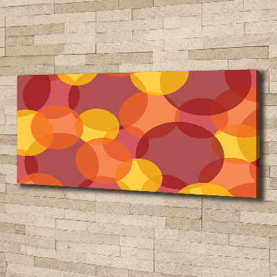 Foto quadro su tela Cerchi colorati