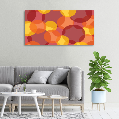 Foto quadro su tela Cerchi colorati